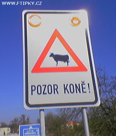 pozor-kone